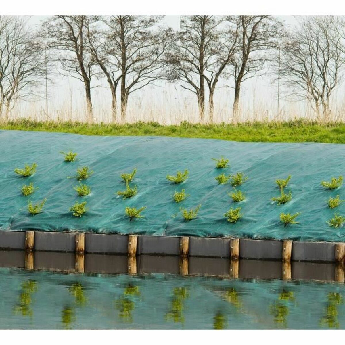 Afdækningsnet Nature Grøn polypropylen 1 x 10 m